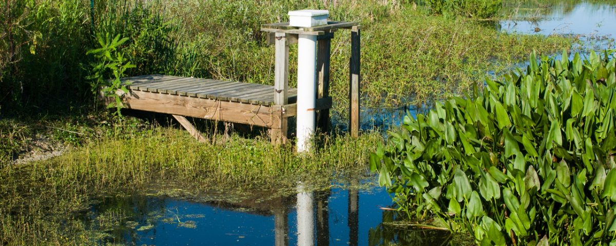 Surface water monitoring staing