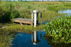 Surface water monitoring staing