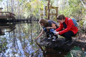 Students testing water at Julington Creek