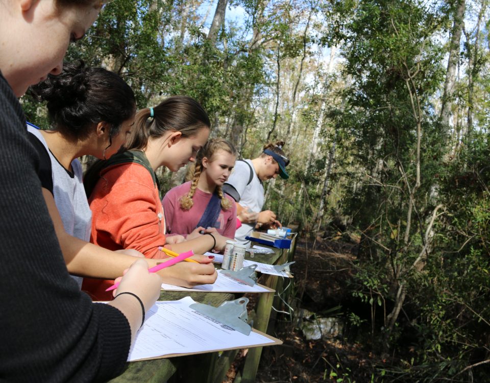 Students testing water and recording data at Julington Creek
