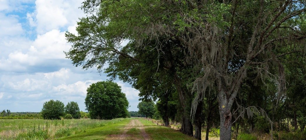 Hiking trail at Sunnyhill Restoration Area