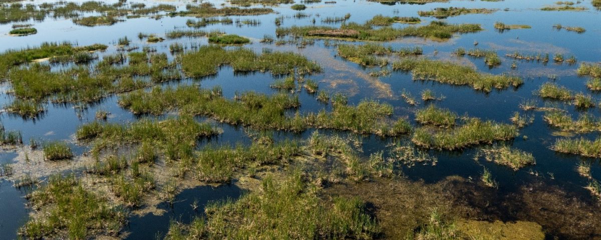 Aerial of Fellsmere Water Management Area