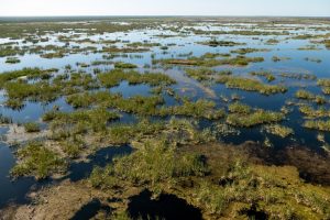 Aerial of Fellsmere Water Management Area