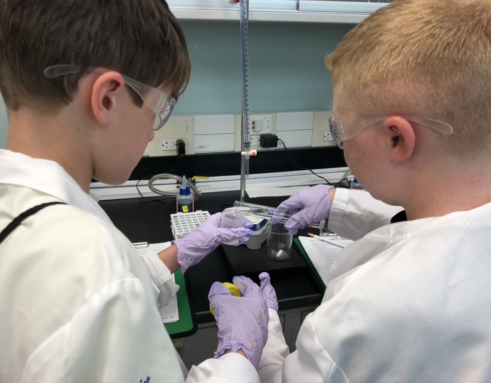 Students in a school laboratory testing water samples