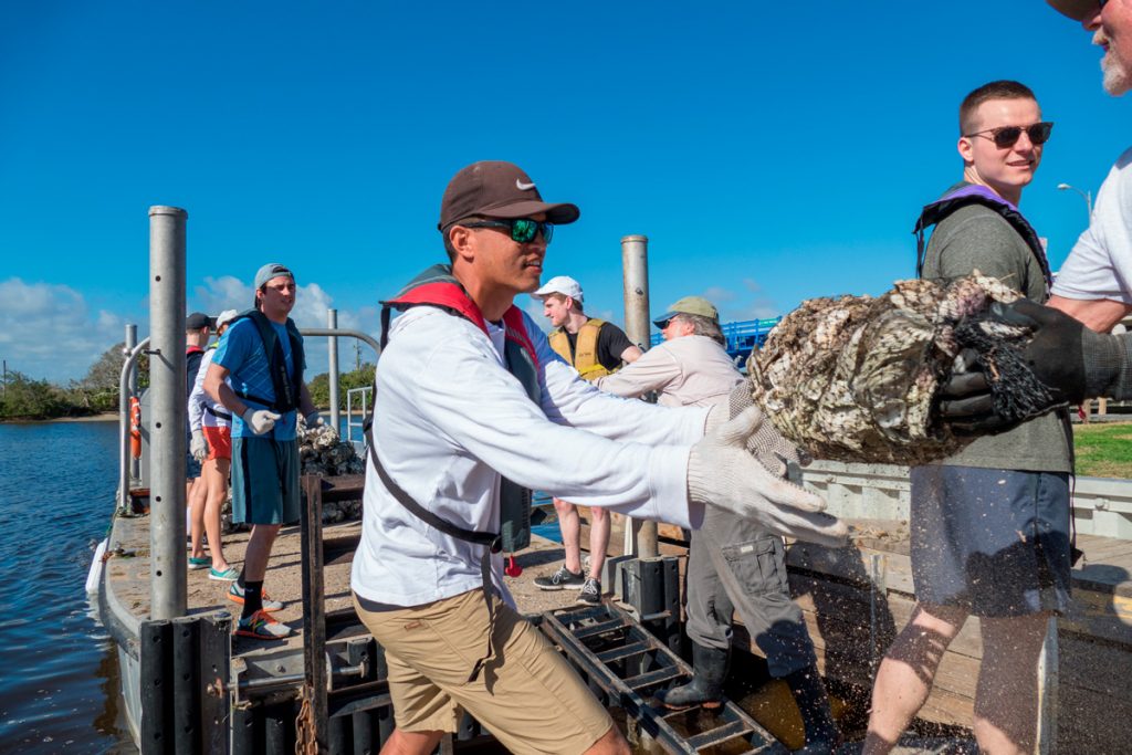 Volunteers loading bags of oyster shells on a barge