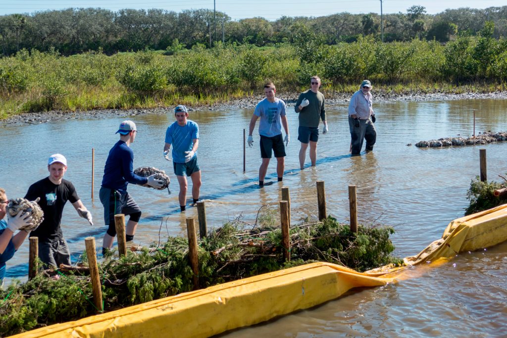 Volunteers carying bags of oyster shells