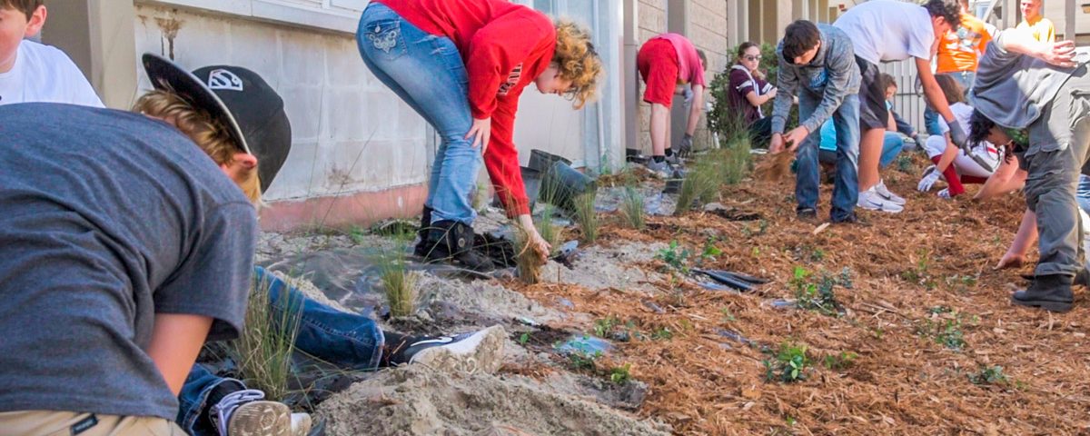 Students putting in plants next to a school as part of the blue school program