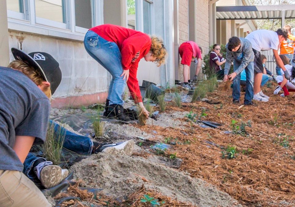 Students putting in plants next to a school as part of the blue school program