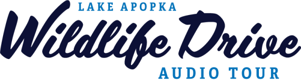 wildlife-drive-audio-800x Lake Apopka Wildlife Drive Audio Tour