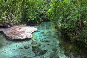 Rock Springs Run flowing by a large rock