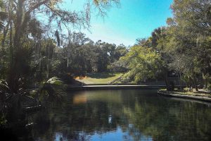Wekiwas Spring seen from down stream