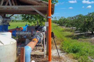 Irrigation pumphouse at a citrus grove