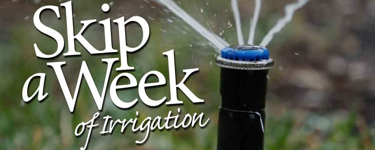Skip a week of irrigation graphic with photo of a spray head