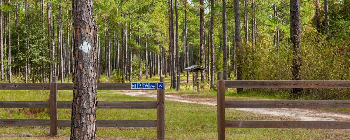 A walk through entracne to Crescent Lake Conservation Area
