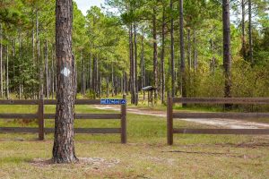 A walk through entracne to Crescent Lake Conservation Area