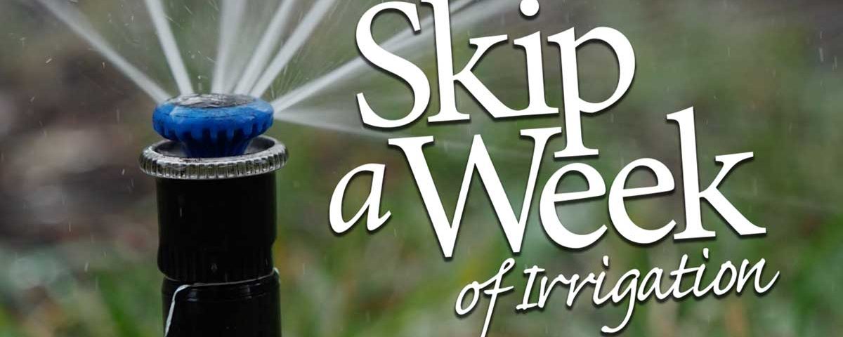 Skip a Week of Irrigation