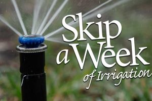 Skip a Week of Irrigation