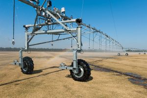 Pivor irrigation system watering a sod farm