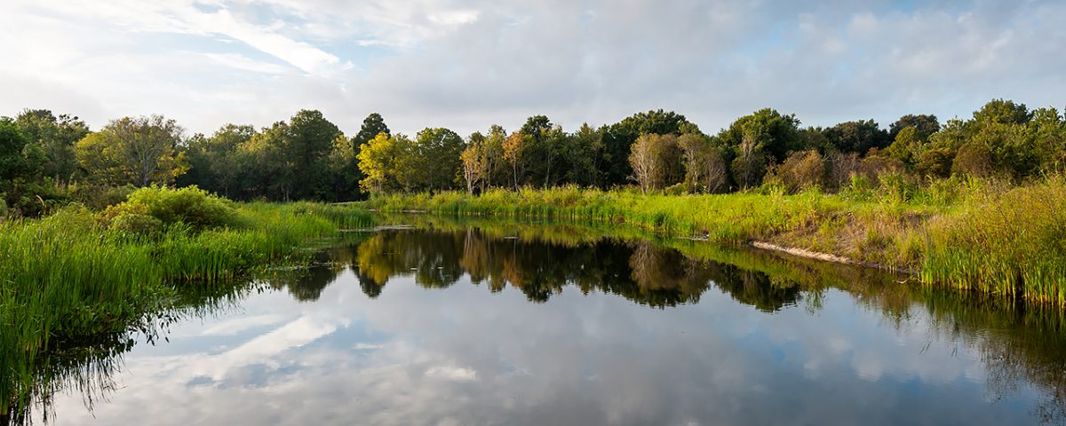 Open water along the wildlife drive at Emeralda Marsh Conservation Area