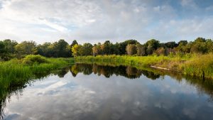 Emeralda Marsh Conservation Area