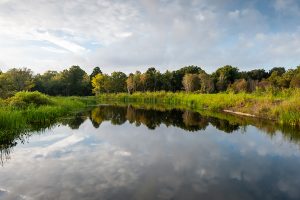 Open water along the wildlife drive at Emeralda Marsh Conservation Area