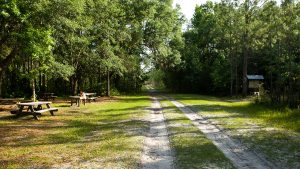 A dirt road in a forest leading past some picnic tables and a kiosk