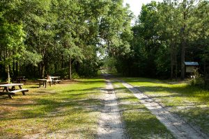 A dirt road in a forest leading past some picnic tables and a kiosk