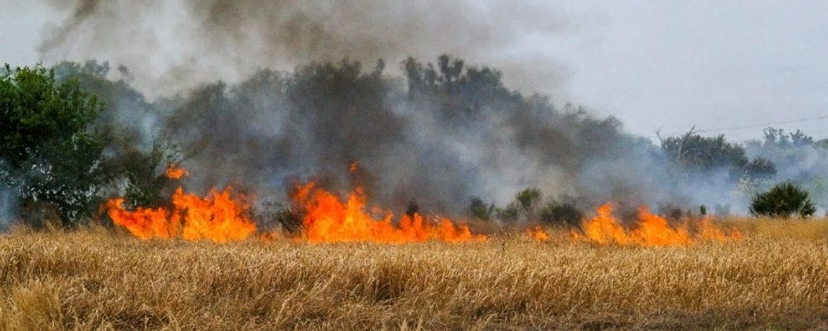 Prescribed fire buring in an open grassy area