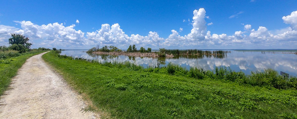 Small unpaved trail on levee next to Lake Apopka