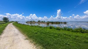 Lake side trail at Lake Apopka North Shore