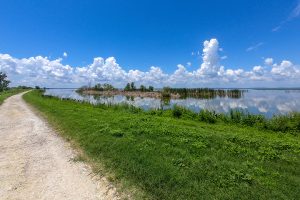 Small unpaved trail on levee next to Lake Apopka