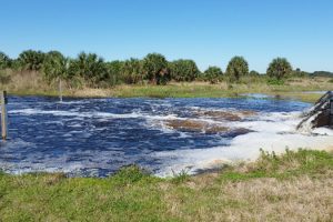 Water flowing from black pipes into the Sawgrass Lakes WMA