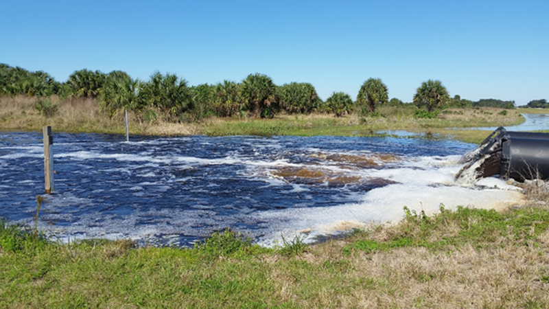 Water flowing from black pipes into the Sawgrass Lakes WMA