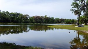 Water body with trees and houses in the background