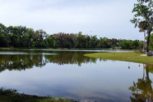 Large stormwater pond with trees and houses in the background