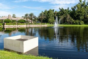 Stormwater pond with a fountain in the middle and houses behind it