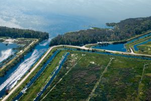 Aerial view of Lake Apopka and the marsh flow-way