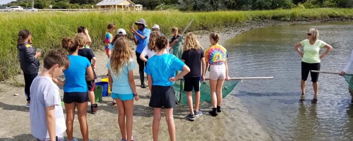 Students at a salt marsh learnign about seining