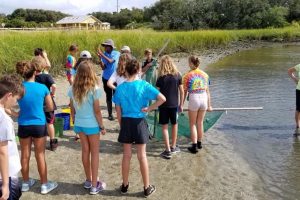 Students at a salt marsh learnign about seining