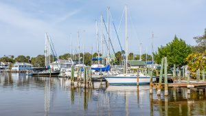 Dail boats docked along shoreline with glass like water