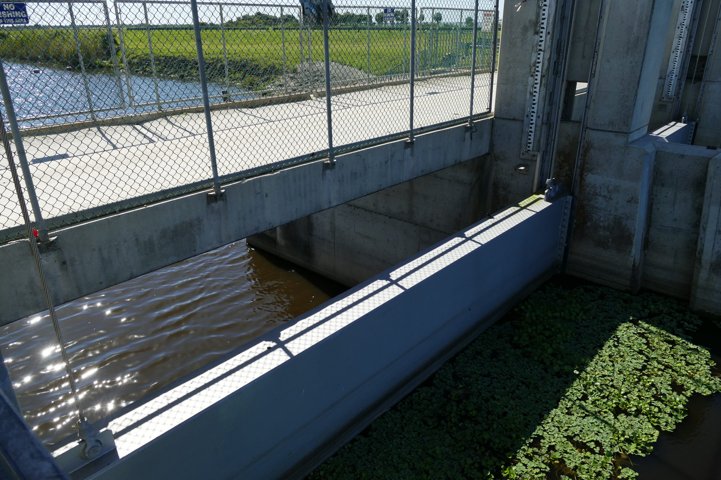 Gate structure