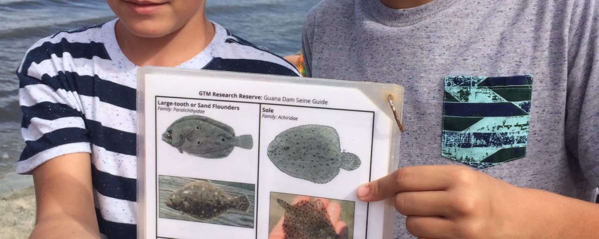 Young school children on an ecological retreat.