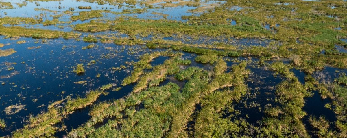 Areal photograph of Fellsmere Water Management Area