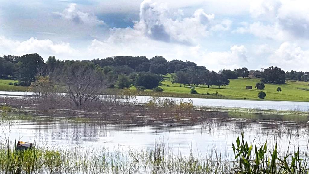 Photo of Lake Apshawa from the shore