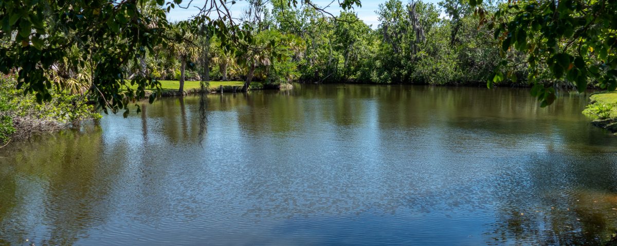 View of Crane Creek from under the shadow of a tree
