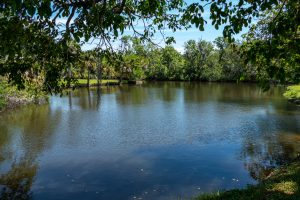 View of Crane Creek from under the shadow of a tree