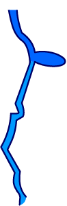 Illustration of Apalachicola River