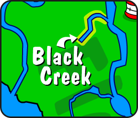 Illustration of Black Creek