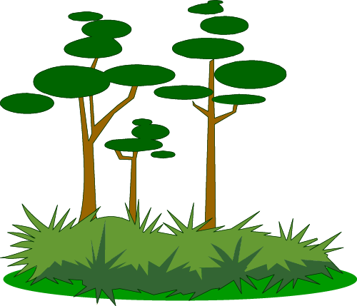 Illustrated swamp foliage
