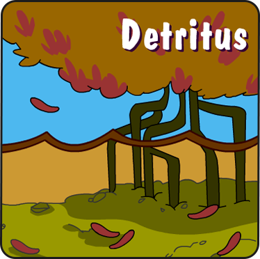 Illustration of detritus